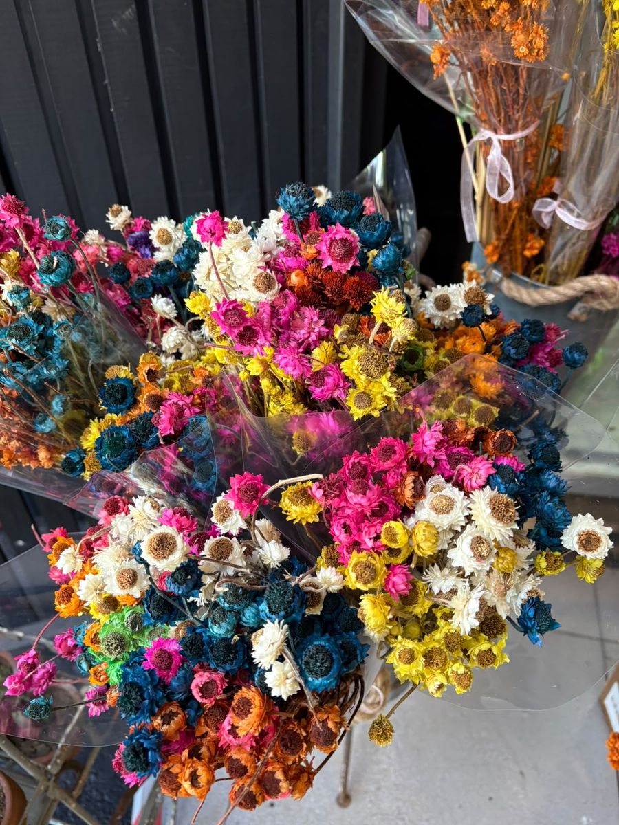 Flores secas de colores